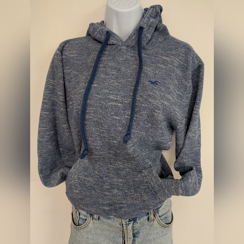Hollister Y2K Lightweight Hooded Sweatshirt